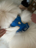 拉夫威爾ruffwear福朗特胸背狗狗胸背帶大小型犬拉布拉多背心式牽引背帶 墨池藍(lán) L/XL 曬單實(shí)拍圖