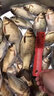 爆護(hù)全球餌料窩料釣魚(yú)黑坑野釣鯉魚(yú)鯽魚(yú)草魚(yú)野釣專用魚(yú)餌 爆護(hù)全球【兩瓶裝】 曬單實(shí)拍圖