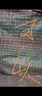 中諾九城鍍鋅鐵絲網(wǎng)片 圍欄小孔加粗電焊網(wǎng) 狗籠養殖網(wǎng) 建筑鋼筋長(cháng)孔網(wǎng)格 3.5*3.5cm孔2.5mm粗1米寬2米長(cháng) 曬單實(shí)拍圖