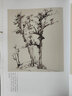倪瓚 人美畫譜 高清大開(kāi)本 國(guó)畫山水花鳥畫入門 國(guó)畫臨摹底稿范本中國(guó)畫技法倪瓚全集倪瓚山水畫集畫冊(cè) 曬單實(shí)拍圖