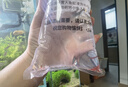 噢水噢觀賞蝦活體水族淡水小動物魚缸清潔除藻極火彩色觀賞魚水晶蝦壹 品質(zhì)櫻花40送10只備損 曬單實(shí)拍圖