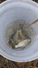 漢鼎拉力強線組鯽魚魚線成品主線釣魚線組套裝全配件用品線拉力強魚線 5.4m【PE子線夾款，2盤裝】 1.5號 曬單實拍圖