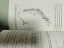 大自然如何運作 帕·巴克 解釋大自然復雜行為 展現了科學(xué)大廈構建過(guò)程 科學(xué)之美 物理規則 自組織臨界性理論 北京大學(xué)旗艦店正版 曬單實(shí)拍圖