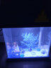 森森（SUNSUN）魚(yú)缸超白玻璃生態(tài)桌面造景金魚(yú)缸 小屋日記 超白缸+海底世界景 曬單實(shí)拍圖