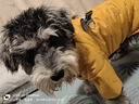 狗狗衣服秋冬季保暖羽絨棉衣寵物四腳衣中小型犬泰迪比熊狗棉襖 四腳衣-黃色 3XL（建議體重20-26斤左右） 四腳棉衣 曬單實(shí)拍圖