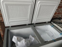 美的（Midea）423升 大容量商用家用冰柜 五面制冷囤货大冷柜 电子控温冷藏冷冻转换卧式冰箱 BD/BC-423DKEM(E)  实拍图