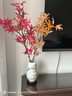 陌花格仿真楓葉假植物紅楓樹(shù)枝葉子家居植物裝飾花干花客廳插花擺件 紅色 曬單實(shí)拍圖