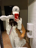 CTOX針織拼接輕薄棉服女短款2025秋冬新款休閑學(xué)院風(fēng)加厚棉衣外套潮 米白色版 M 建議100-110斤 曬單實拍圖