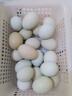 喜蛋哥農家散養鮮雞蛋谷物蛋粉殼蛋綠皮雞蛋烏雞蛋早餐買(mǎi)菜超市雞蛋 20枚（谷物蛋10枚+綠殼蛋10枚） 曬單實(shí)拍圖