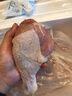 新鮮琵琶腿多肉雞腿肉精修農家土雞肉批發(fā)生鮮禽類(lèi)雞腿飯店鹵雞腿 琵琶腿3斤 曬單實(shí)拍圖