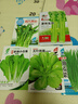 【種子大全】12種蔬菜種子四季菜種子陽(yáng)臺(tái)盆栽綠植庭院易種春秋 茼蒿+菜心+油麥菜+芹菜+小白菜 曬單實(shí)拍圖