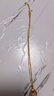 中國黃金（CHINA GOLD）黃金項鏈女足金999鳳尾素鏈鎖骨鏈生日七夕情人節禮物送女友老婆 約2.4g-面寬約2.5mm 曬單實(shí)拍圖