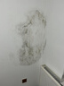 京厽德國屋頂防水補漏噴劑噴霧材料樓頂裂縫專用防水膠室外墻面堵漏王 超值套裝5瓶白色堵漏王 曬單實拍圖