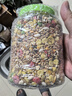 憨憨樂園倉鼠糧倉鼠鼠糧刺猬金絲熊花枝鼠糧食食物主糧飼料口糧零食用品 曬單實拍圖