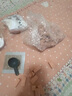 楪嫦德國(guó)泥瓦匠玩具蓋房子砌墻兒童禮物建筑手工diy磚頭小屋迷你水泥 基礎(chǔ)套-古典別墅【465件-燈光-可種植】+鋼筋 曬單實(shí)拍圖