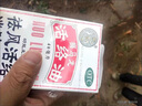 治手腳胳膊腿疼的藥舒筋活血祛風(fēng)活絡(luò )消腫止痛風(fēng)濕關(guān)節酸痛手足麻木跌打損傷腰酸背腿膝蓋疼風(fēng)濕藥酒 活絡(luò )油 1盒裝扭傷摔傷拉傷 曬單實(shí)拍圖