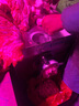 正元電動(dòng)絞肉機(jī)商用攪肉機(jī)大功率ZY-1單絞機(jī)42S型不銹鋼全自動(dòng)3KW強(qiáng)力攪拌碎肉機(jī) 42型4000W電機(jī)三項(xiàng)電 曬單實(shí)拍圖