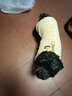 狗狗四腳衣服寵物泰迪比熊小型犬狗狗衣服秋冬季四腳珊瑚絨衣?tīng)恳?淺棕色_(加厚珊瑚絨) XXL（約適合12-14斤） 曬單實(shí)拍圖