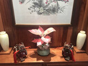 莫尼森  MOREISAN天然玉石貔貅擺件客廳辦公室玄關(guān)酒柜裝飾品擺件公司喬遷開(kāi)業(yè)禮物 虎皮青玉小號(hào)一對(duì)送胡桃木底座 曬單實(shí)拍圖