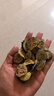 楠勝堂 番石榴干中藥材 紅心芭樂潘石榴干番石榴茶番石榴果片可搭綠蘿花 500克 曬單實拍圖