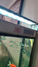 尼特利（NETLEA） 水草燈尼特利at5s魚缸燈 爆藻燈全光譜 【三代語(yǔ)音】5120S【120cm缸用，可調(diào)光譜】 曬單實(shí)拍圖