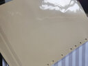 富得快 隔頁(yè)紙 FD-2100 A4 21頁(yè)P(yáng)P彩色索引紙 塑料分頁(yè)紙 膠質(zhì)分類(lèi)卡  數(shù)字分頁(yè)紙 曬單實(shí)拍圖