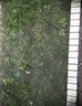 沐馳 不銹鋼網(wǎng)篩網(wǎng)304鋼絲網(wǎng)圍欄養殖陽(yáng)臺防鼠網(wǎng)格工業(yè)家用安全網(wǎng)圍網(wǎng) 6mm孔【0.6mm粗】0.5米高1米長(cháng) 曬單實(shí)拍圖