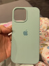 諾邦士適用蘋果13promax保護套iPhone12液態(tài)硅膠殼1大孔保護殼簡約時尚XR手機殼網(wǎng)紅超薄手機套蘋果6軟殼 【淡青色】液態(tài)硅膠大孔殼 iPhone 13 Pro Max 曬單實拍圖