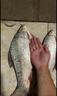 千壽5代魚線柔軟釣線強拉力競技主線黑坑子線尼龍線魚線 2.0號 60米 主線 曬單實拍圖