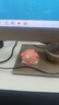 善業(yè)（shanye）貓咪木雕來一只小動(dòng)物送ta貓狗情侶生日送禮宿舍工作室可愛 八重神子小狐貍 擺件 曬單實(shí)拍圖