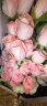 莱一刻礼盒鲜花速递花束表白送女友生日礼物全国同城配送 33朵粉玫瑰礼盒 晒单实拍图