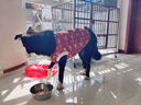 嬉皮狗（hipidog）大狗狗衣服喜氣新年滿印馬甲中大型犬拉布拉多金毛邊牧衣服秋冬季 德羅紅（醒獅錦鯉） 4XL（建議體重30-40斤） 曬單實(shí)拍圖