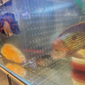 邊勝魚(yú)缸隔離板透明亞克力隔離網(wǎng)分離板孔雀魚(yú)孵化盒水族箱隔離板 【高透明】寬38x高30x厚2mm+卡位吸盤(pán) 曬單實(shí)拍圖