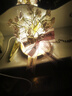 韞舜玫瑰花冰塊夜燈創(chuàng)意手工制作diy生日禮物送女生高級感母親兒童節(jié) 冰塊夜燈【18朵玫瑰丨含禮袋插電 曬單實拍圖