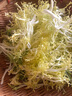 綠食者 新鮮黃心苦菊500g 苦葉生菜苦細葉苦苣狗牙生菜西餐沙拉蔬菜食材 曬單實拍圖