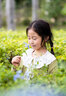索尼（SONY） FE50mm F1.4GM 全畫幅大光圈G大師鏡頭SEL50F14GM人像鏡頭 FE50mm F1.4GM+NS UHD UV 官方標配 曬單實拍圖