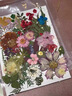 OEIN植物干花壓花材料包手工diy材料樹葉標本滴膠寫真押花真花書簽 夏天系列40片 曬單實拍圖
