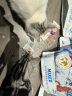 麦富迪 猫零食 冻干生肉饼混合装140g 成猫幼猫鲜肉饼干 实拍图