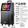 先科廣場(chǎng)舞音響帶顯示屏戶(hù)外k歌專(zhuān)用家庭ktv音響套裝卡拉ok點(diǎn)歌一體機大音量唱歌移動(dòng)音箱 【廣場(chǎng)舞音響】17吋超清屏8吋低音雙高音 曬單實(shí)拍圖