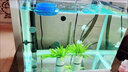 漁次郎防水led燈魚缸燈照明燈水族箱燈三湖慈鯛錦鯉金龍紅龍魚燈管專用 T8三排高亮燈【長(zhǎng)53cm-10瓦】 白光燈 龍魚水草生長(zhǎng)發(fā)色 曬單實(shí)拍圖
