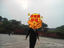 啄木鳥(niǎo)黑色連衣裙女2025秋季新款長(zhǎng)袖時(shí)尚收腰顯瘦氣質(zhì)假兩件a字蓬蓬裙 黑色 M 曬單實(shí)拍圖