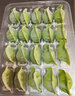 甄樽餃子皮機(jī)全自動(dòng)商用包子皮機(jī)餛飩皮機(jī)壓皮機(jī)仿手工餃子店用燒麥皮機(jī)搟皮機(jī)云吞皮 小型餃子皮機(jī)【一個(gè)可換模具】 曬單實(shí)拍圖