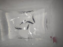 正宗鱖魚(yú)苗桂花魚(yú)苗桂魚(yú)苗淡水養殖食用活體翹嘴貴魚(yú)苗班鱖魚(yú)苗小魚(yú)苗兇猛包郵 鱖魚(yú)苗3-4cm200條 送10% 曬單實(shí)拍圖