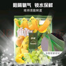 妙潔果蔬密實(shí)袋 食品級(jí)抑菌鎖鮮袋家用加厚冰箱專用收納自封保鮮袋子 【加贈(zèng)】特大號(hào)2盒（共16只） 曬單實(shí)拍圖