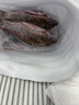 貓撲魚(yú)（mao pu yu）微山湖生態(tài)鯽魚(yú)(凈膛) 淡水魚(yú)現捕現殺 生鮮 老人孕產(chǎn)婦燉湯 一斤大號鯽魚(yú)（每斤2-3條） 曬單實(shí)拍圖