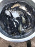 壹條魚(yú)兒釣魚(yú)王腥香酒米瘋釣鯽四季通殺釣餌秋冬季釣鯽魚(yú)鯉魚(yú)餌料野釣配方 釣魚(yú)王腥香300克【1包】 曬單實(shí)拍圖