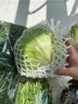 西生菜新鮮蔬菜圓生菜球包菜漢堡包蔬菜沙拉菜球生菜新鮮500g 5kg 曬單實拍圖