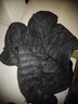 鴨鴨反季羽絨服男新款短款輕便羽絨衣連帽輕薄款保暖冬季男款外套KX 黑色 2XL /185 曬單實拍圖