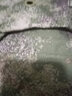 凰一迷彩腰包攜行物資包胸包配件包 綠色 曬單實(shí)拍圖
