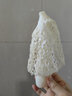 云南竹蓀菌新鮮竹蓀花竹笙紅托竹蓀肉厚【順豐空運(yùn)】 新鮮竹蓀 順豐空運(yùn)次日達(dá) 500g 曬單實(shí)拍圖